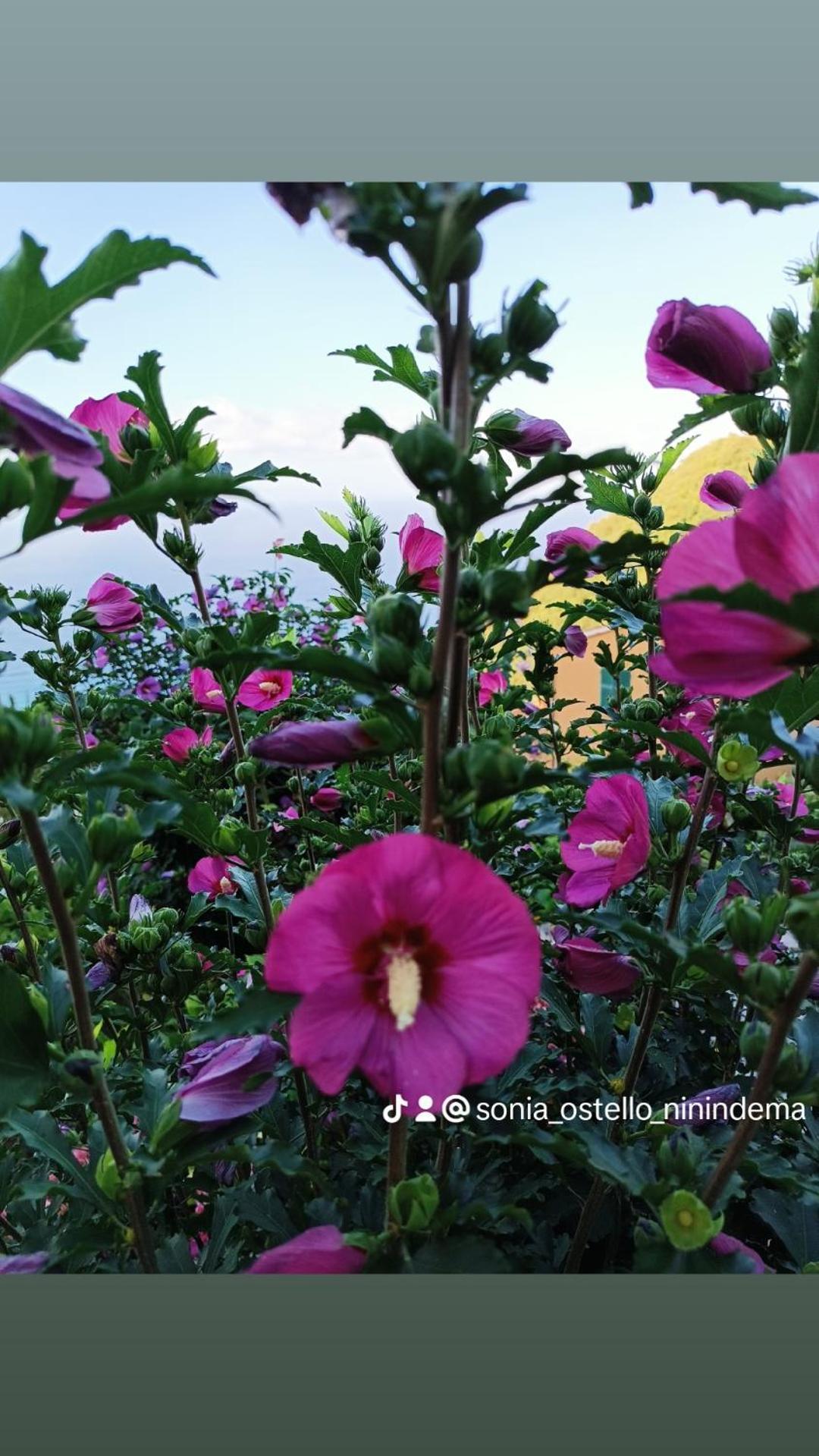Ostello Ninin De Ma' 파라무라 외부 사진